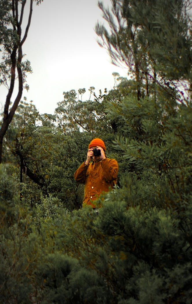 Untitled